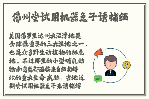 XXXXXLmedjyf7777777政务